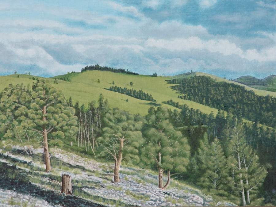 View from Mt Ascension by Mountain Sage Gallery  ~  x 