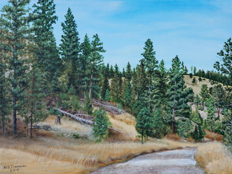 Wakina Sky Road #2 by Mountain Sage Gallery  ~  x 