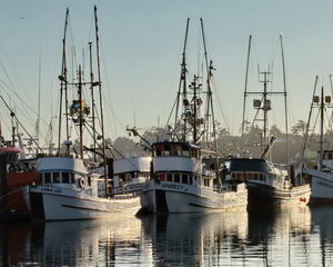  by Mountain Sage Gallery